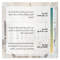 عطر الفنادق مذهلة معطر جو 500 مل من عود لافر |  صيدلية.كوم.