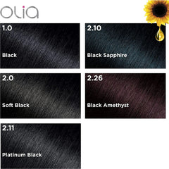 Garnier hair color first black 2.0