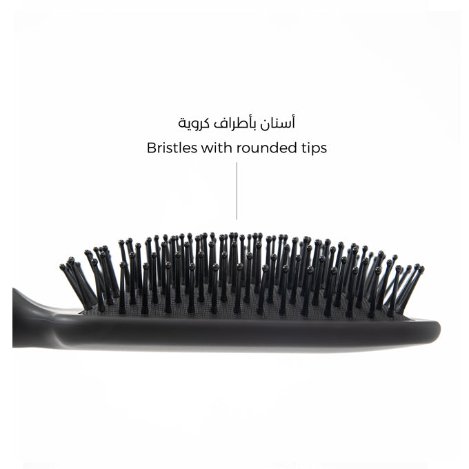 ديلي برش