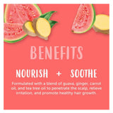 Cantu Guava & Ginger Anti Dandruff Shampoo 400 ml