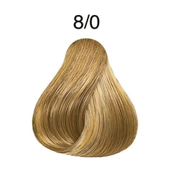 كوليستون صبغة شعر كيت أشقر فاتح 0% امونيا ديلوكس 8 /0