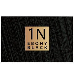 صبغة شعر كيت بدون امونيا 1N V2 اسود ابنوسي من كلر & سوا 135 مل |  صيدلية.كوم.