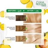 Garnier Color Naturals Hair Dye 1002 Very Light Iced Blonde