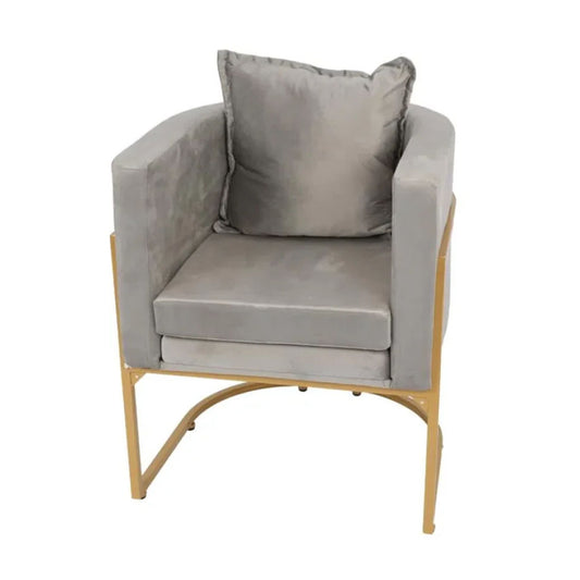 كرسي صالون نسائي رمادي مع حديد ذهبي |  صيدلية.كوم.