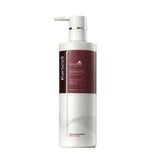 Argan Oil Hair Shampoo for Dry and Damaged Hair 500 ml Cargill