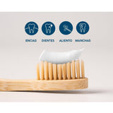 Dentocoral toothpaste for smokers 75 ml