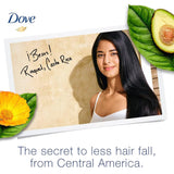 Dove shampoo with avocado oil and calendula extract 400 ml