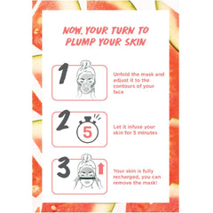 Garnier Tissue Mask with Garnier SkinActive Dose: 1% Hyaluronic Acid and Watermelon Extract 15g