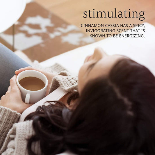 ناو فودز زيت قرفة كاسيا 1 أونصة