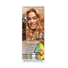 Natural Hair Dye 8.31 Honey Blonde from Garnier