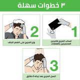 غارنييه شامبو صبغة شعر الرجال اسود بني 20 مل