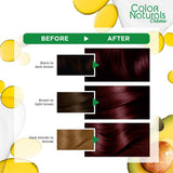 Garnier Color Naturals Hair Dye Deep Cherry Red 4.62