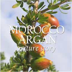 Nature Republic Argan Hair Serum 60 ml