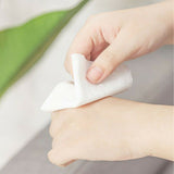 Wet cleaning wipes 100 wipes - 5 envelopes 20 wipes per envelope