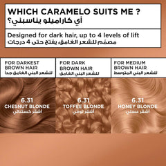 Natural Hair Dye 8.31 Honey Blonde from Garnier