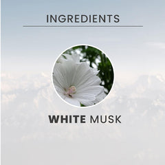 تيسوري دي أورينت عطر المسك الأبيض 100 مل