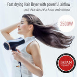 EH-N2500 Panasonic hair dryer