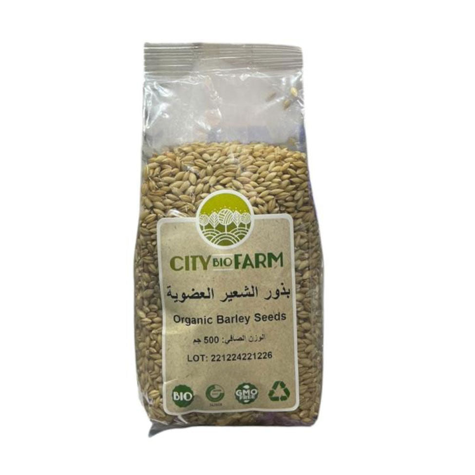 Organic Barley Seeds from City Bio Farm 500 gm