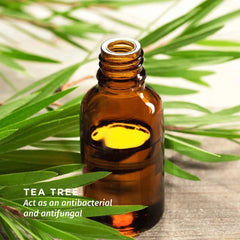 بي سيف غسول يومي طبيعي للمناطق الحساسة للرجال بمستخلص الايورفيدا وزيت شجر الشاي 100 مل