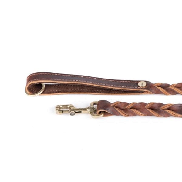 ماي فاميلي أسكوت طوق جلد بني |  صيدلية.كوم.