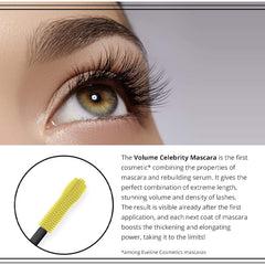 ماسكارا فوليوم سيليبريتيز لون أسود داكن من ايفلين