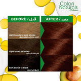 Garnier Color Naturals 3.6 Dark Red Brown Hair Dye