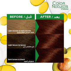 Garnier Color Naturals 3.6 Dark Red Brown Hair Dye