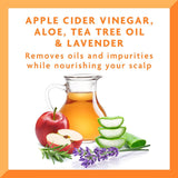 Cantu Protective Styles by Angela Hair Bath & Cleanser with Apple Cider Vinegar & Aloe 296 ml