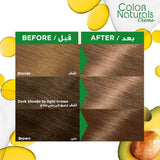 Garnier Color Naturals 7 Blonde Hair Dye