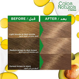 Garnier Color Naturals Hair Dye 8.11 Dark Ashy Light Blonde