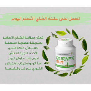 علكة برنر بخلاصة الشاي الاخضر بطعم النعناع |  صيدلية.كوم.