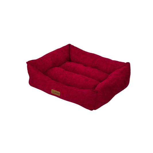 كانين قو سرير تشيز كيك |  صيدلية.كوم.