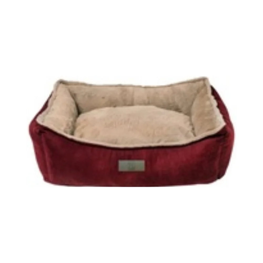 كانين قو سرير تشيز كيك صغير |  صيدلية.كوم.