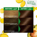 Garnier Color Naturals 5.132 Very Natural Medium Brown