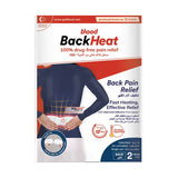 Blood Heat Patches for Back Pain Relief - 2 Pieces