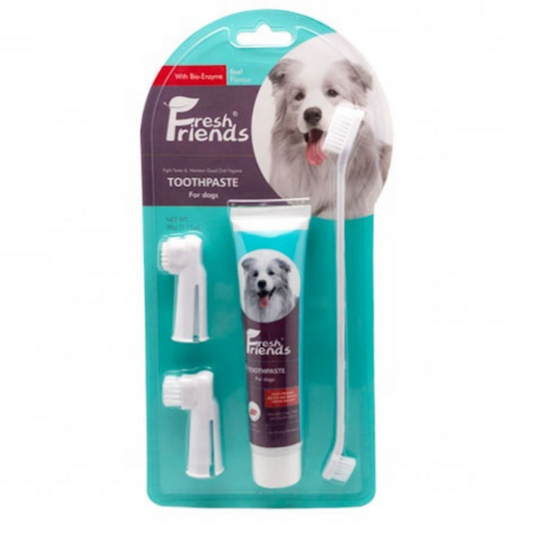 فريش فريندز مجموعة العناية بالاسنان للكلاب بنكهة اللحم البقري 90غ |  صيدلية.كوم.