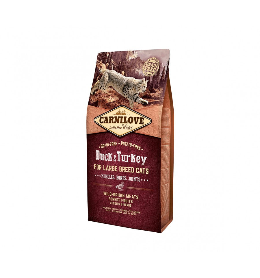 كارنيلوف بط وديك رومي طعام جاف لسلالات القطط الكبيرة البالغة كغ 2 |  صيدلية.كوم.