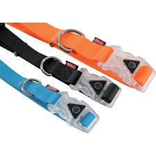 زولكس طوق سيليكون للكلاب قابل للتعديل 20 مم |  صيدلية.كوم.