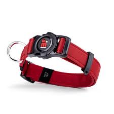 ماي فاميلي طوق ميمو بت كبير 28-55/75 سم |  صيدلية.كوم.