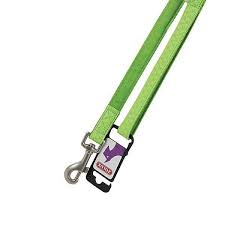 زولكس مشد جلد مشمع للكلاب - 1.2 م - 15 مم - أخضر |  صيدلية.كوم.