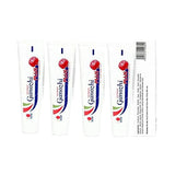 DSXN Ganozhi Plus Toothpaste (4 x 150 grams)