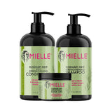 Mielle conditioner + shampoo + hair ends gel to strengthen hair with rosemary and mint 355 ml - 3 products