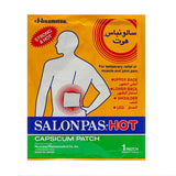 Salon Pass hot patch 1 piece