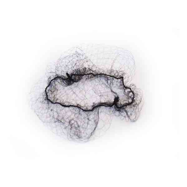 شبكة شعر أسود 