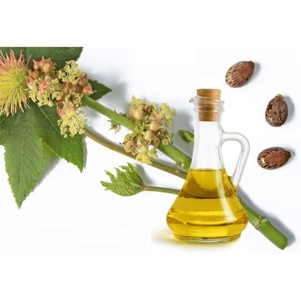 ناو فودز زيت الخروع 