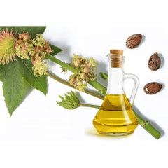 ناو فودز زيت الخروع 
