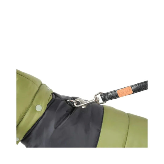 زولكس معطف دافئ للقطط اخضر |  صيدلية.كوم.