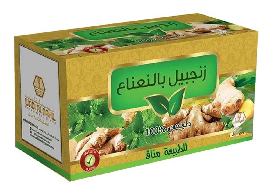 وادي النحل شاي منعش زنجبيل بالنعناع 30 كيس.